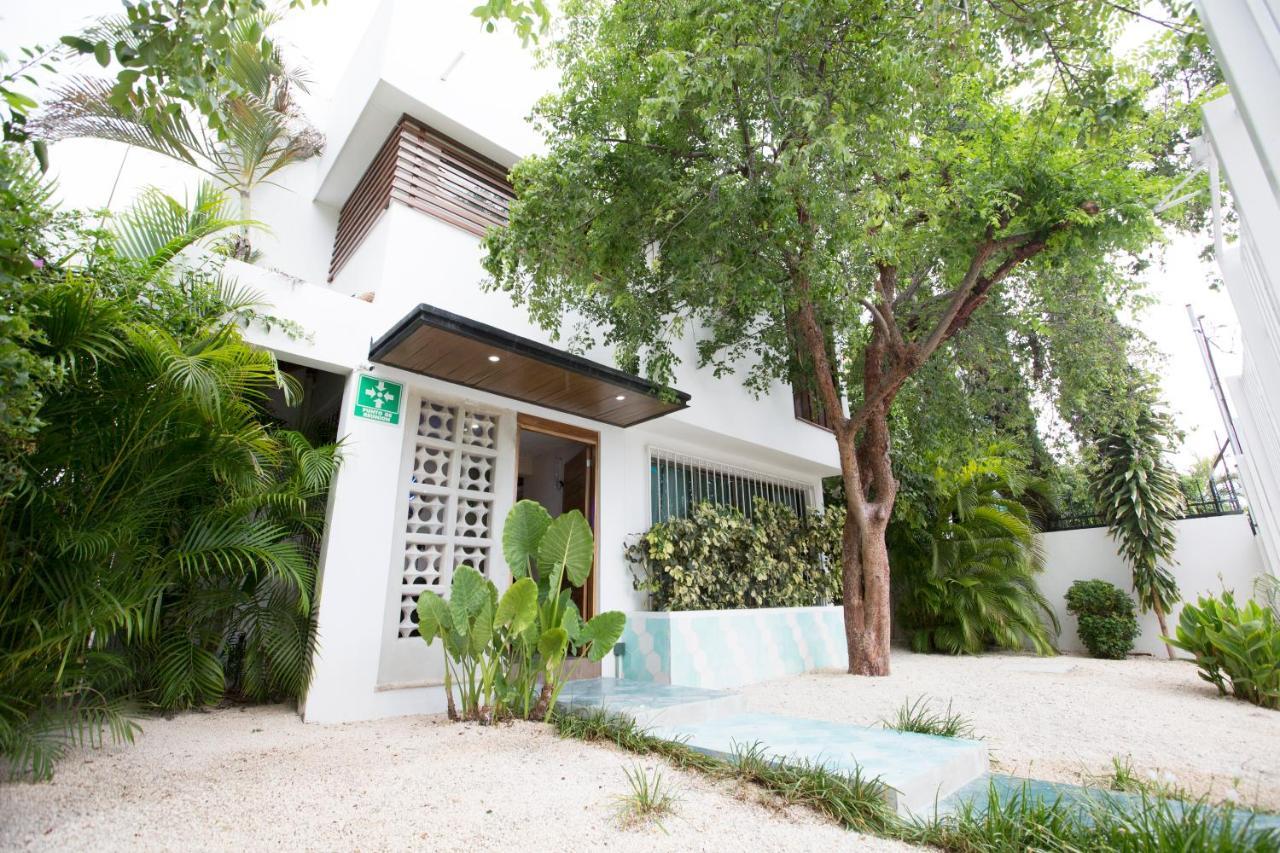 Cielo Neuf Bed & Breakfast
